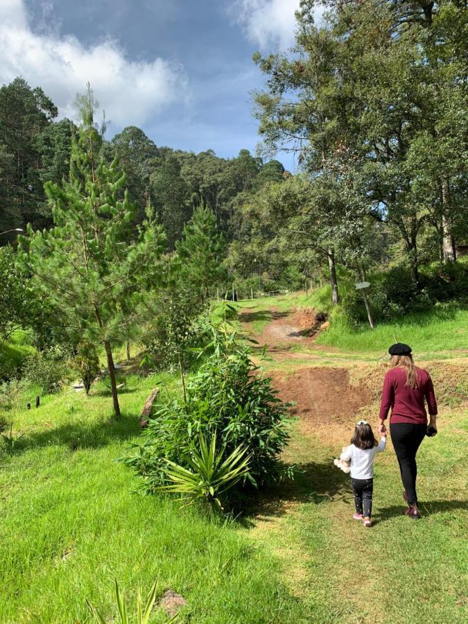 Romanticas Cabanas En Bosque Acaxochitlán Exteriér fotografie