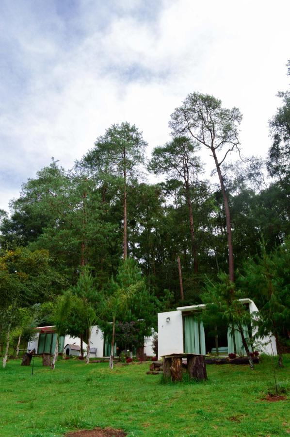 Romanticas Cabanas En Bosque Acaxochitlán Exteriér fotografie