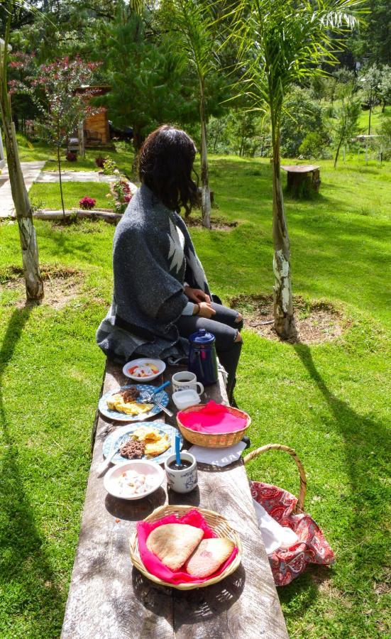 Romanticas Cabanas En Bosque Acaxochitlán Exteriér fotografie