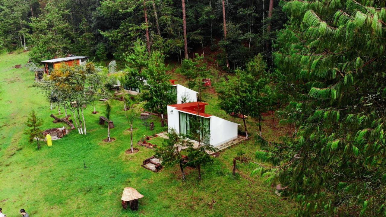 Romanticas Cabanas En Bosque Acaxochitlán Exteriér fotografie